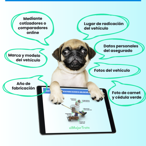 ¿Cuáles son los pasos para realizar el pago del seguro de mi automóvil a través de internet?