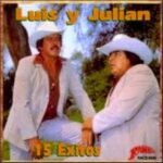 ¿Cómo se puede limpiar el dinero manchado de Luis y Julián?