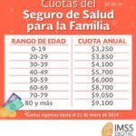 ¿Cuál es el costo de pagar el seguro social de forma independiente?