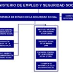 ¿Cuál es la función principal de la Tesorería General de la Seguridad Social?