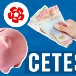 ¿Cuáles son los bancos que ofrecen la opción de invertir en cetes?