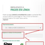 ¿Cuáles son los métodos de pago en línea que ofrece Seguros Bolívar?