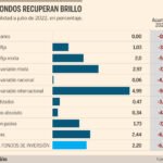 ¿Cuáles son los principales fondos de inversión disponibles en el mercado de dinero?