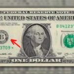 ¿Dónde puedo encontrar imágenes auténticas de billetes de dólares?